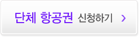 단체항공권문의