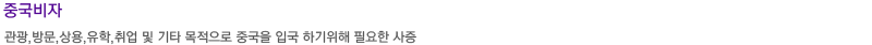 중국비자