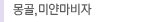 몽골,미얀마비자